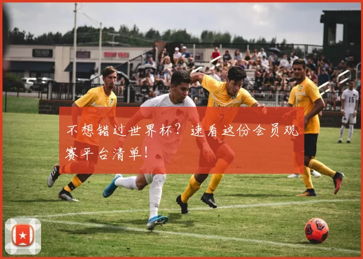 不想错过世界杯?速看这份会员观赛平台清单!