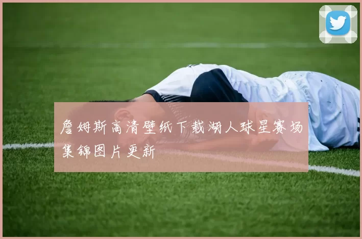 詹姆斯高清壁纸下载湖人球星赛场集锦图片更新