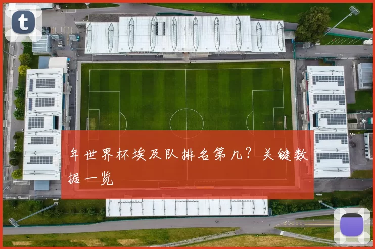 年世界杯埃及队排名第几?关键数据一览