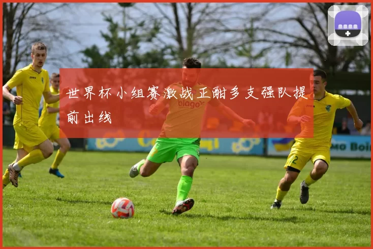 世界杯小组赛激战正酣多支强队提前出线
