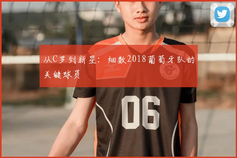从C罗到新星：细数2018葡萄牙队的关键球员