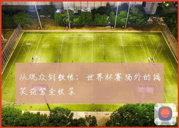 从观众到教练：世界杯赛场外的搞笑花絮全收录