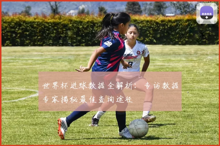 世界杯进球数据全解析：专访数据专家揭秘最佳查询途径
