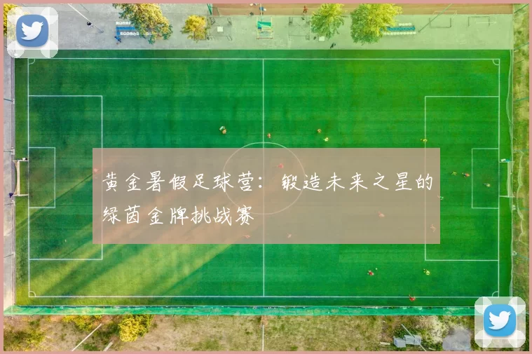 黄金暑假足球营：锻造未来之星的绿茵金牌挑战赛