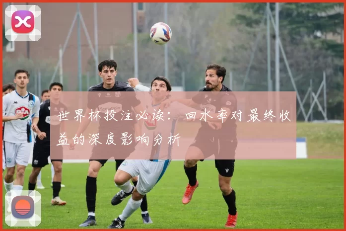 世界杯投注必读：回水率对最终收益的深度影响分析