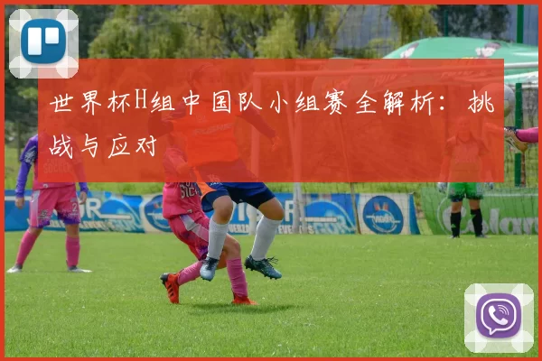 世界杯H组中国队小组赛全解析：挑战与应对