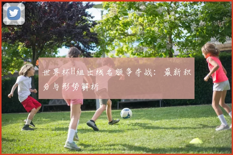 世界杯H组出线名额争夺战:最新积分与形势解析