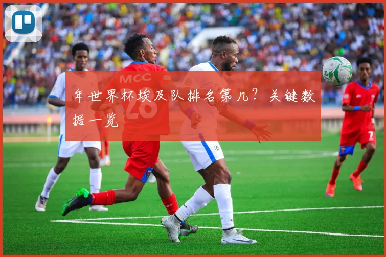 年世界杯埃及队排名第几？关键数据一览