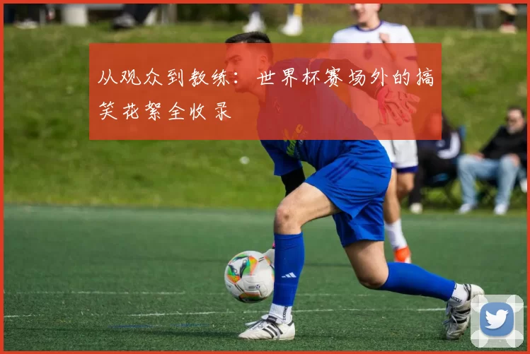 从观众到教练：世界杯赛场外的搞笑花絮全收录