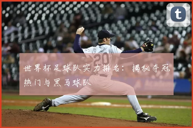 世界杯足球队实力排名：揭秘夺冠热门与黑马球队