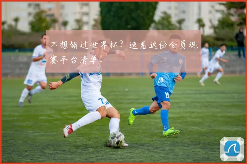 不想错过世界杯?速看这份会员观赛平台清单!