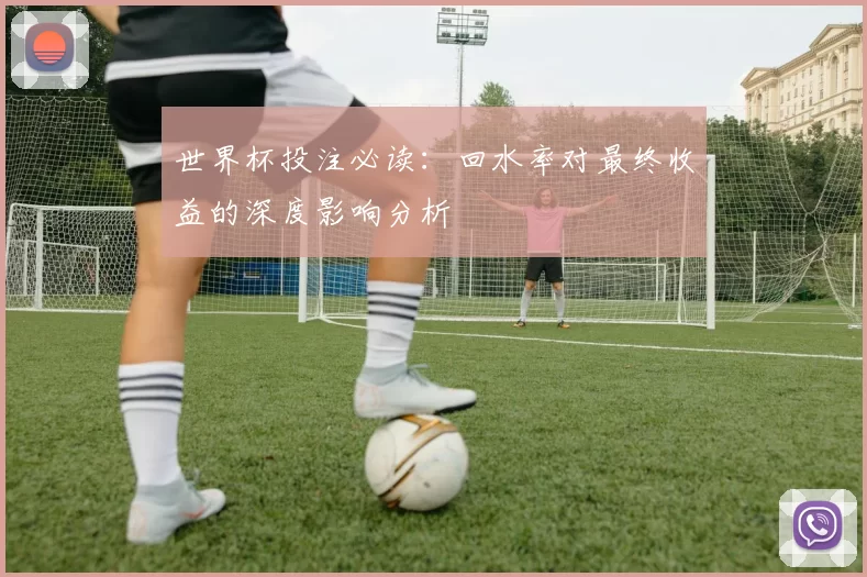世界杯投注必读：回水率对最终收益的深度影响分析