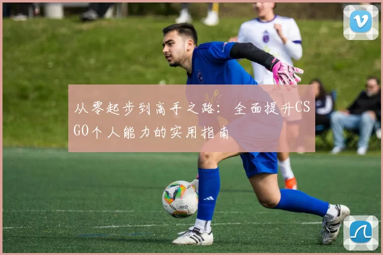 从零起步到高手之路:全面提升CSGO个人能力的实用指南