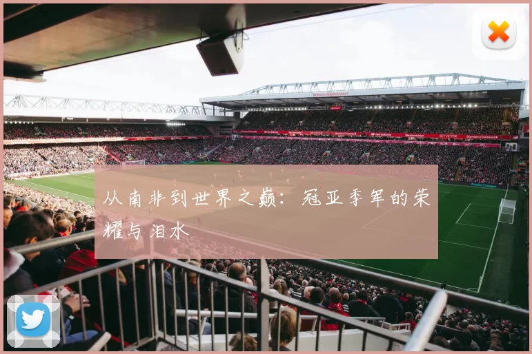 从南非到世界之巅：冠亚季军的荣耀与泪水