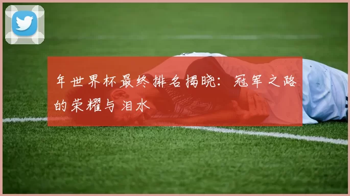 年世界杯最终排名揭晓：冠军之路的荣耀与泪水
