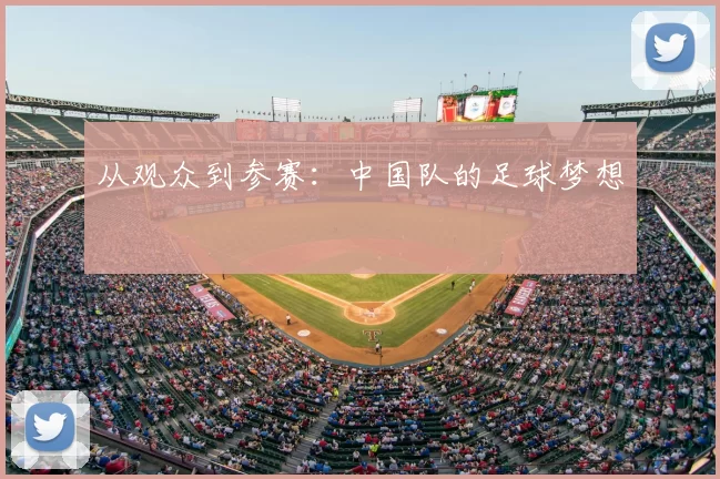 从观众到参赛：中国队的足球梦想