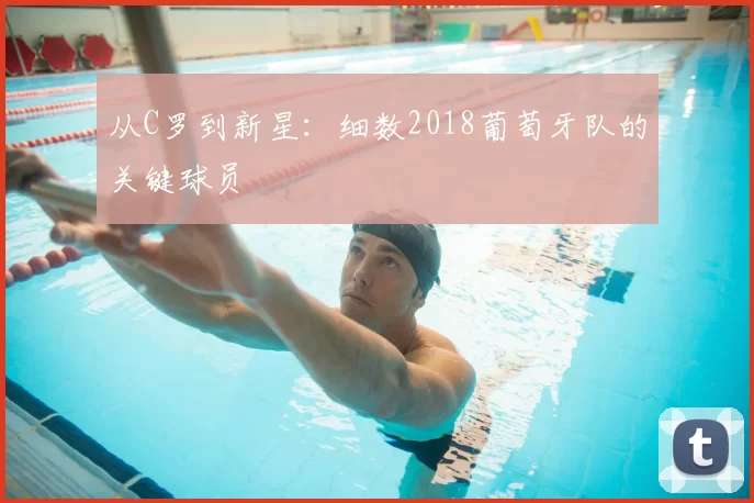 从C罗到新星：细数2018葡萄牙队的关键球员