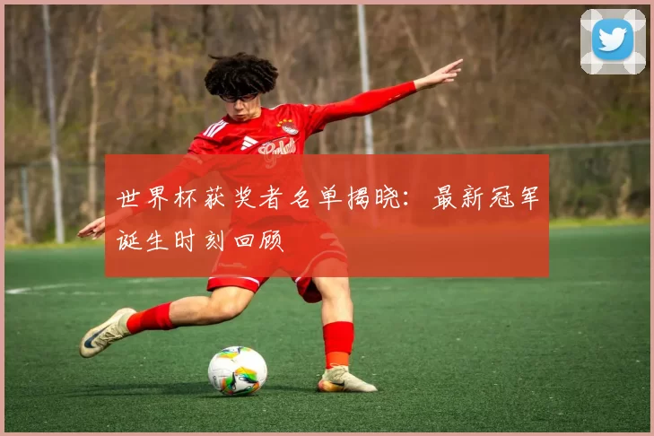 世界杯获奖者名单揭晓：最新冠军诞生时刻回顾