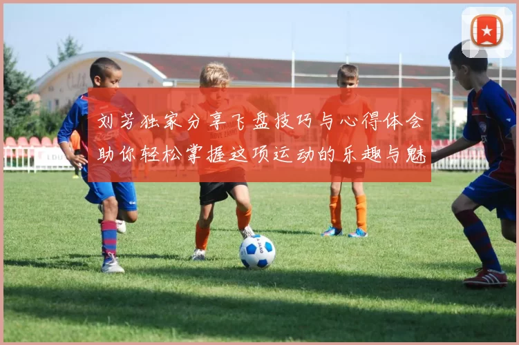 刘芳独家分享飞盘技巧与心得体会助你轻松掌握这项运动的乐趣与魅力