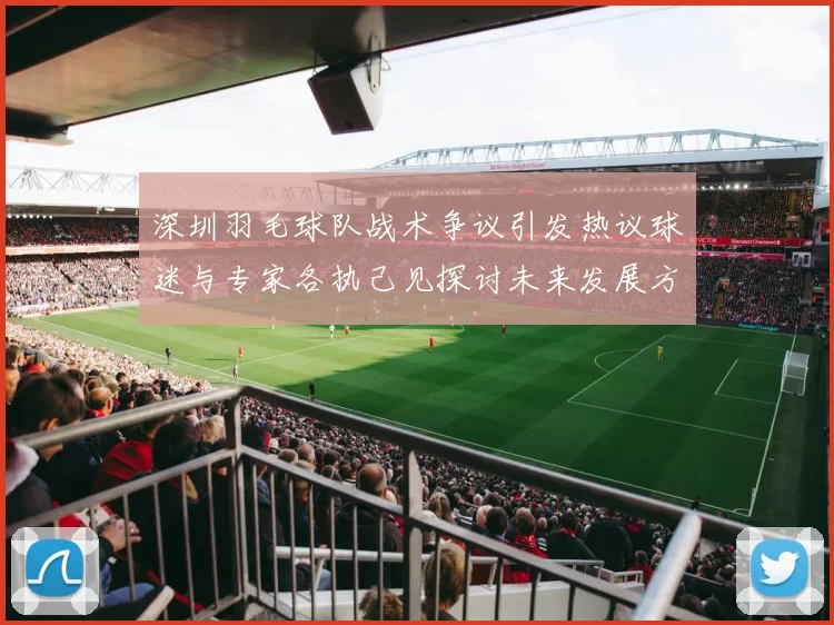 深圳羽毛球队战术争议引发热议球迷与专家各执己见探讨未来发展方向