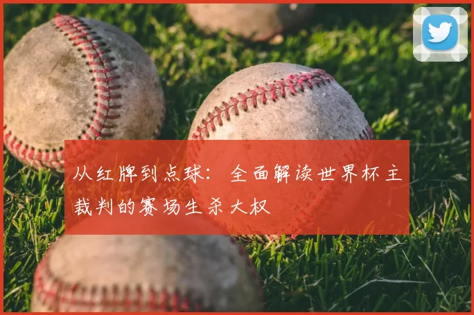 从红牌到点球：全面解读世界杯主裁判的赛场生杀大权